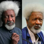 Wole Soyinka Biography net worth, age, wife, education, family, career, early life