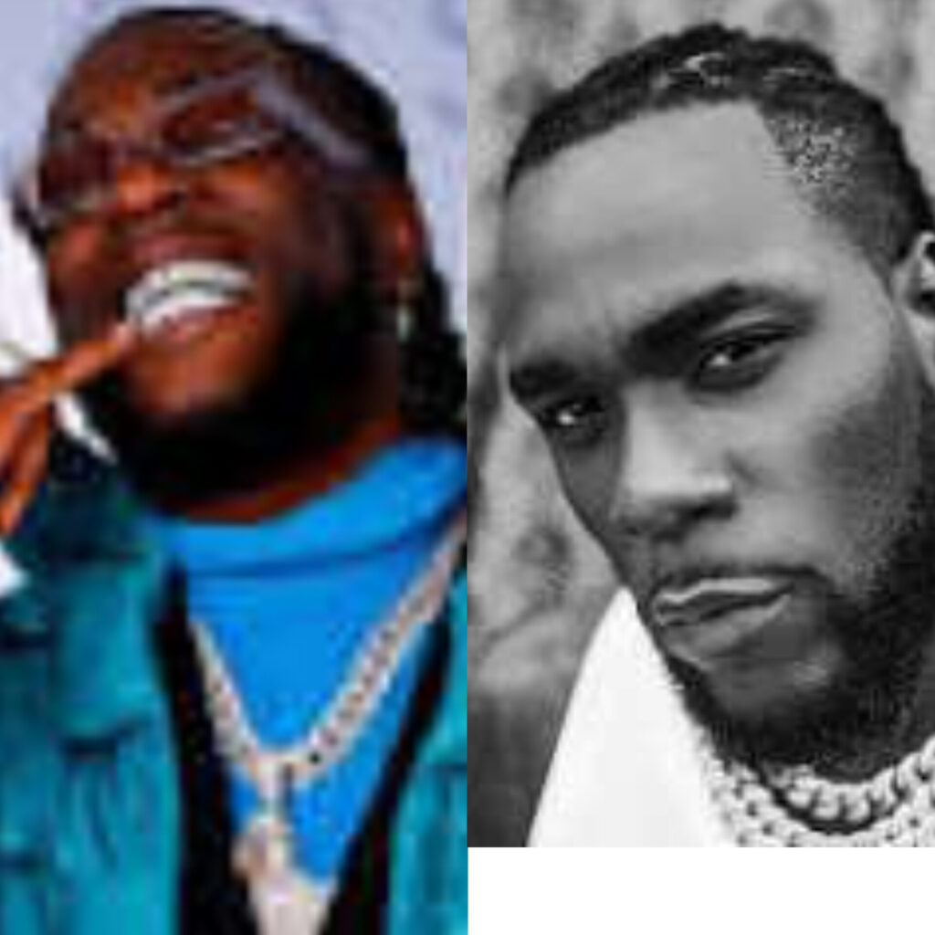 Burna Boy Biography: Net Worth, Age, Wife, Education, Family, Career, Early Life