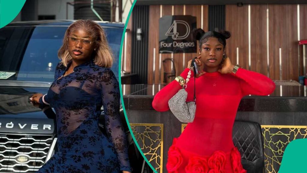 King Mitchy Biography